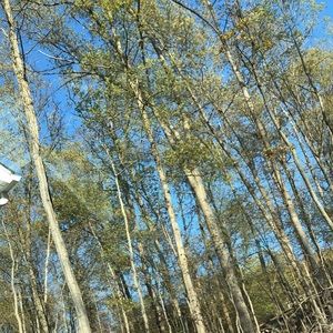 Meet your Posher, May